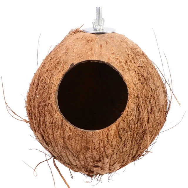 1 Pc Colibri Maison Petit Nichoir Oiseaux en plein air Accessoires