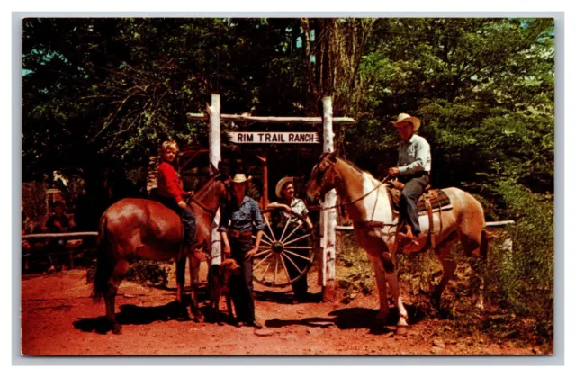 Payson AZ Arizona Mogollon Rim Trail Ranch Horseback Riding Chrome Postcard