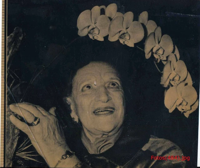 IDA EHRE, SCHAUSPIELERIN 4 Pressefotos versch. Grössen (5973) EUR