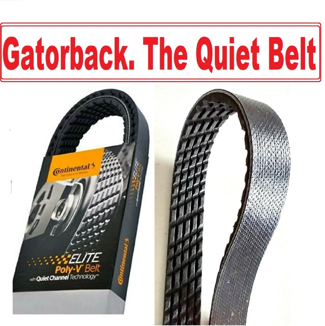 Replacement Continental Belt Sizes Continental Belt Replacement