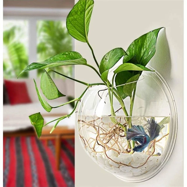 Creative Acrylic Hanging Wall Mounted Fish Tank Hanging Bowl for Water Plants US