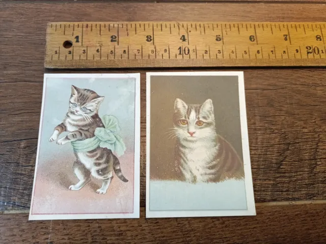 1880s trade cards, G.B. Goodrich & Co. Owego , N.Y.  Lot Of 2 Cats (M7)