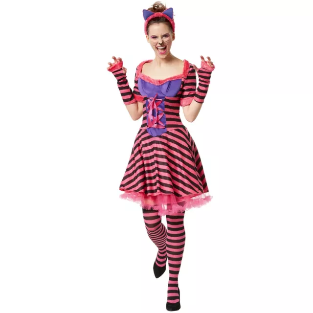 COSTUME GATTO STRIATO Cheshire Donna Vestito Accessori Carnevale Halloween  Festa EUR 39,95 - PicClick IT