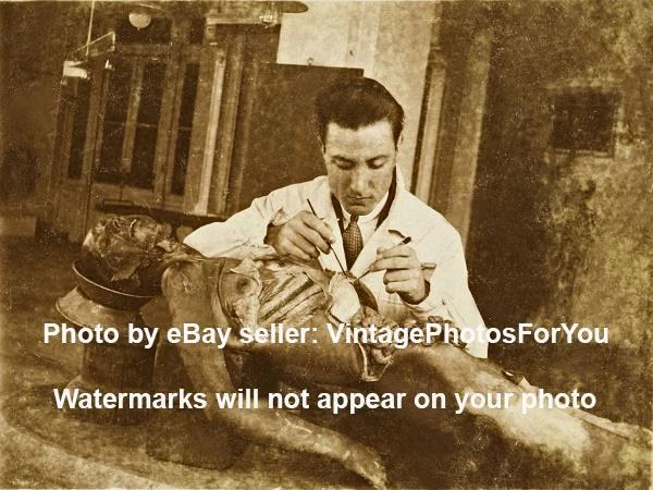 Old 1915 Creepy Scary Odd Weird Strange Doctor Cadaver Dissection/Autopsy Photo