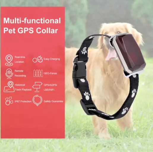 ☆ MINI TRACKER TRACEUR GPS BLUETOOTH ANIMAL collier/VOITURE