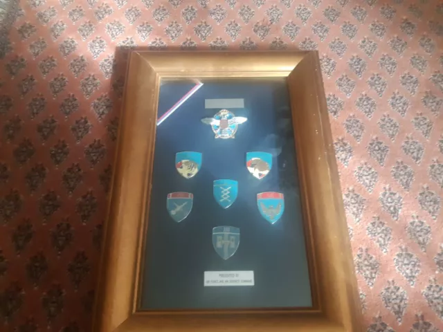 Amazing Serbian Military Air Force Insignia (Badges) Set  In A Picture Frame