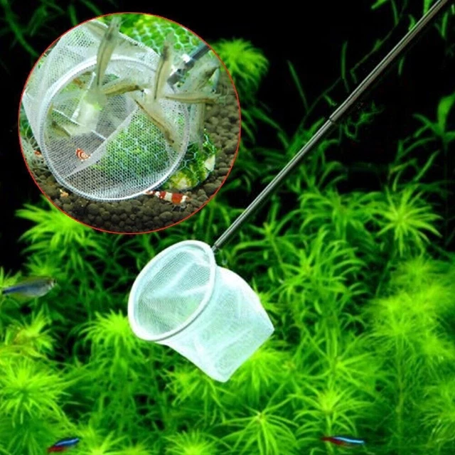 Square Round Shape 3D Aquarium Small Betta Fish Shrimp Dekor Net J6Z9 B7R0