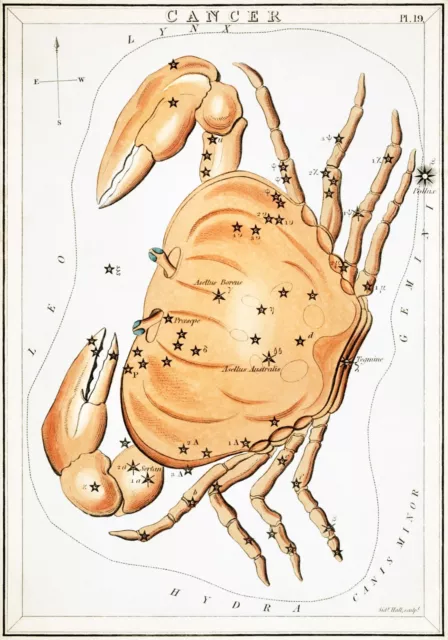 11293.Decor Poster.Home room Wall art.Astrology Zodiac sign.Horoscope.Cancer