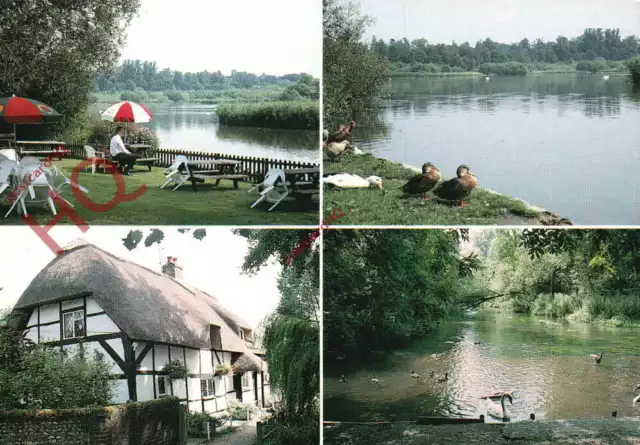 Picture Postcard::Alresford (Multiview)