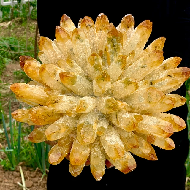 9.23LB  New Find  yellow Phantom Quartz Crystal Cluster Mineral Specimen
