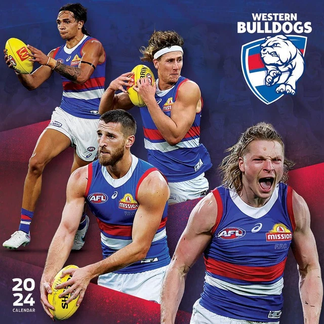 WESTERN BULLDOGS 12 Month Square Wall Calendar 2024 Official AFL Team