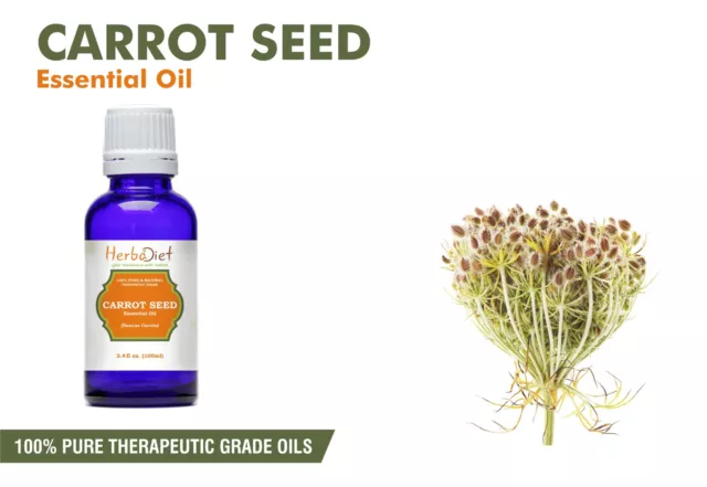 Carrot Seed Essential Oil 100% Pure Natural Aromatherapy Oils Therapeutic Grade