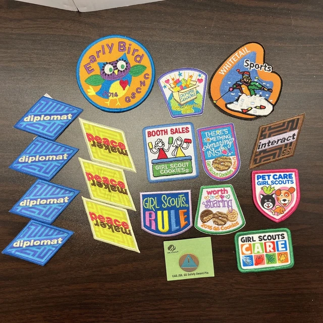 girl scout General 17 Patches Some Dated 1 safety pin