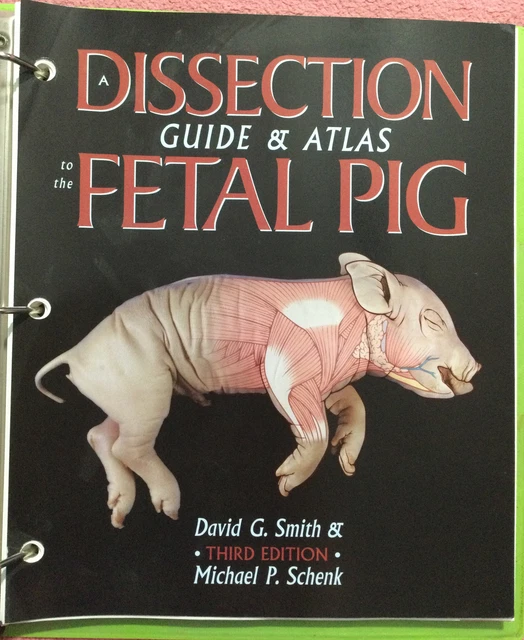 Fetal Pig Dissection Handout