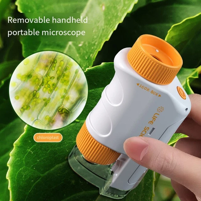 Microscope de poche enfant 9 ans - Science Area