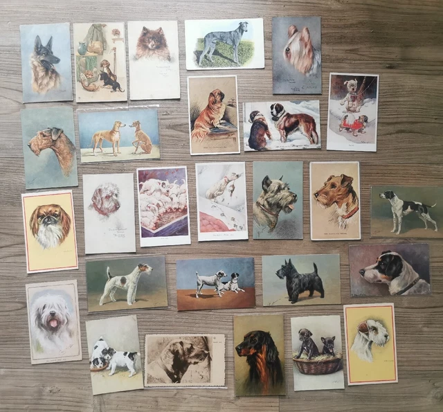 27x Vintage Illustrated Dog Postcards Letters Photos Antique Pictures