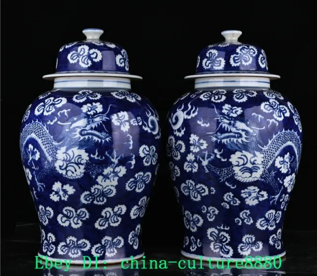 17.7 "Qing dynastie cyanique dragon dragon dragon animal Crock jar