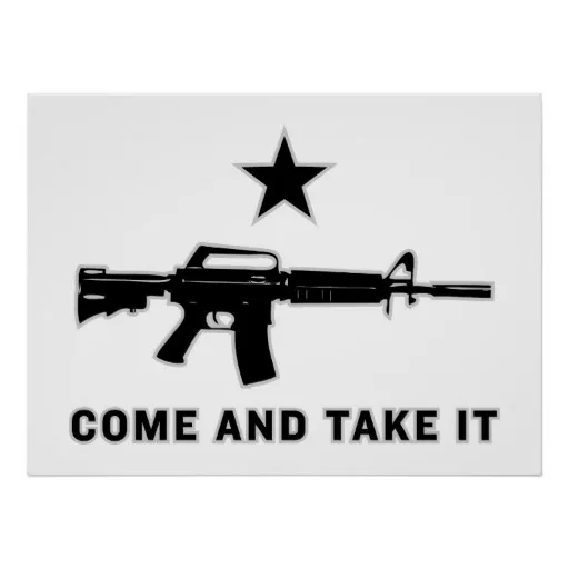  3x5 Texas Come and Take It M4 Carbine Rifle Flag Polyester  Protest Banner Gun : Sports & Outdoors