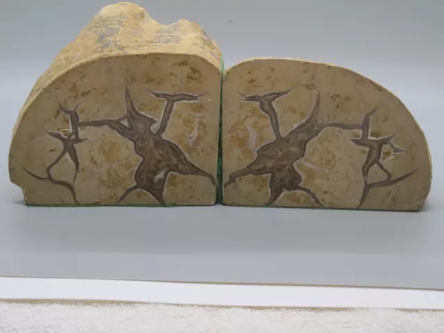 Decorative Polished Septarian Crystal  Nodule Bookends 6 lbs. 12 oz. Brown/Tan