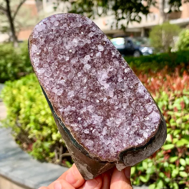 1.64LB Natural Amethyst geode quartz cluster crystal specimen Healing