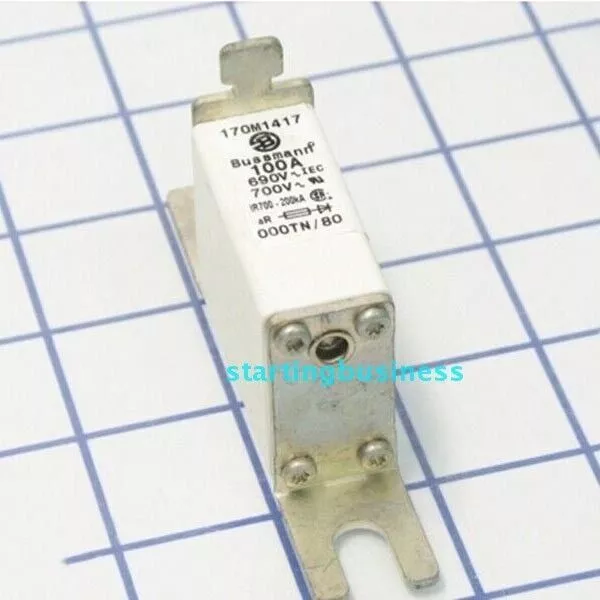 ONE NEW Bussmann Fuse 170M1417 690V 100A