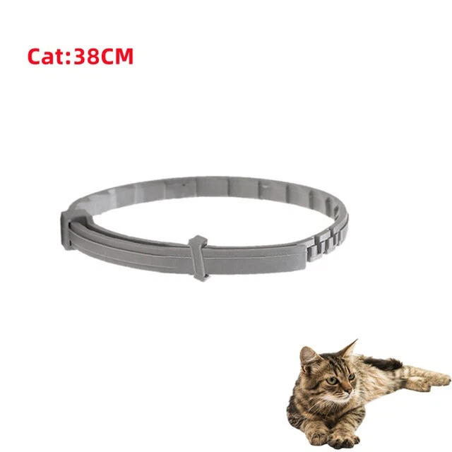 Cane Anti pulci e zecche collare per gatti Pet 8 mesi di protezione collari per