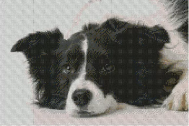 Border Collie Puppy sheep Dog x Stitch Counted cross stitch kit xstitch pup