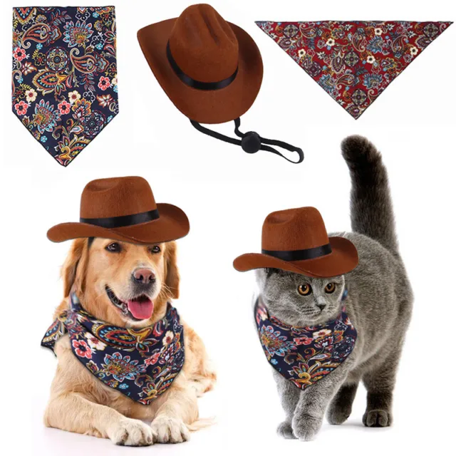 Cane cappello animale domestico triangolo sciarpa gatto western cowboy supporto fotografico accessori @ Ca E