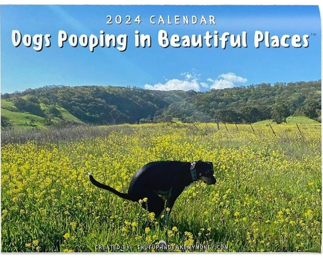 2024 DOGS POOPING In Beautiful Places Calendar New In Wrapper 10.24