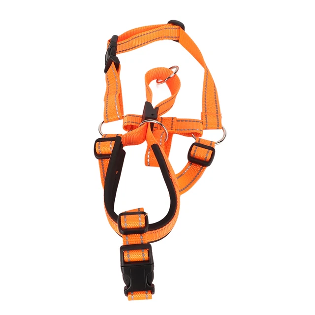 Collare testa cane muso controllo anteriore design regolabile supporto testa cane museruola per