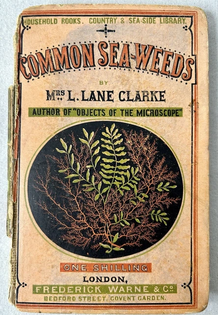 Antiquarian Pocket Book Botanical Prints 1865 Marine Life Seaweed L. Lane Clarke