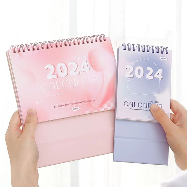 DAILY SCHEDULE 2024 Calendar Standing Flip Calendar Organizing £8.42
