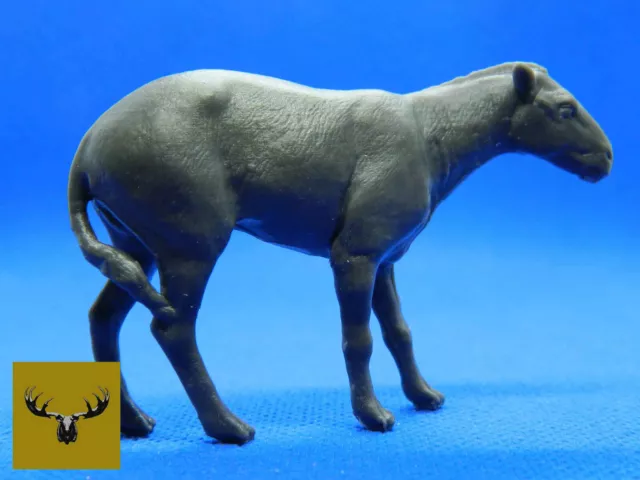 Eohippus Resin scale model!  Same as the 1/9 Breyer’s Traditional scale! 2