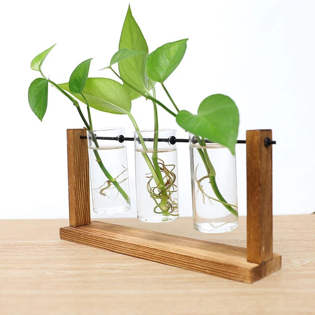 Pot de fleur de vase de tube de verre avec la maison de bureau de planteur
