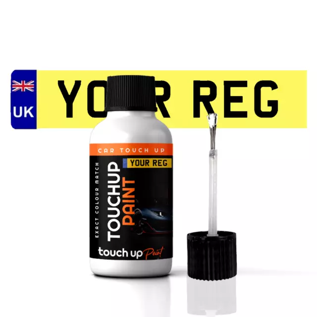 Touch Up Paint Mixed By Car Registration Reg 30ml Stone Chip Brush Chip Mark