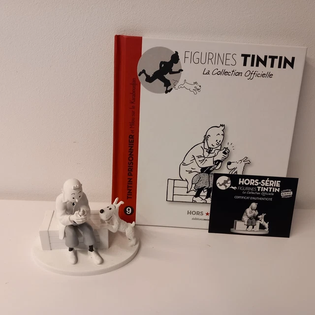 Hors Série #05 : Tintin en Toge (Version Colorisée) - Canal BD