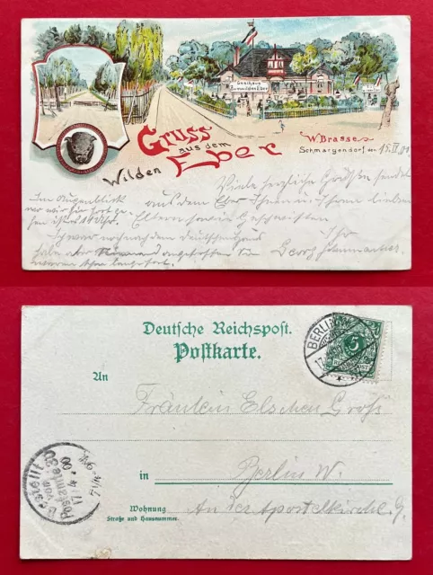 Litho AK SCHMARGENDORF bei Berlin 1901 Gruss aus dem wilden Eber  ( 121750