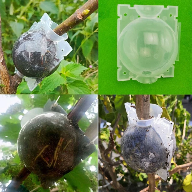 Hohe Qualität Garten Verwurzelung Bälle Plastik Bälle 1 Stück Einstellbar