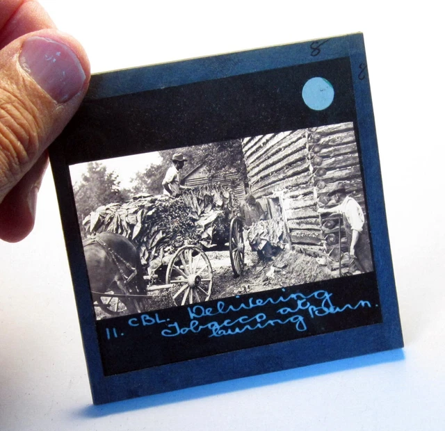 Tobacco plantation Virginia USA antique photo history magic lantern slides #4530