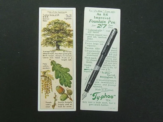 Typhoo Tea - Trees of the Countryside (1937) -  # 16 Oak