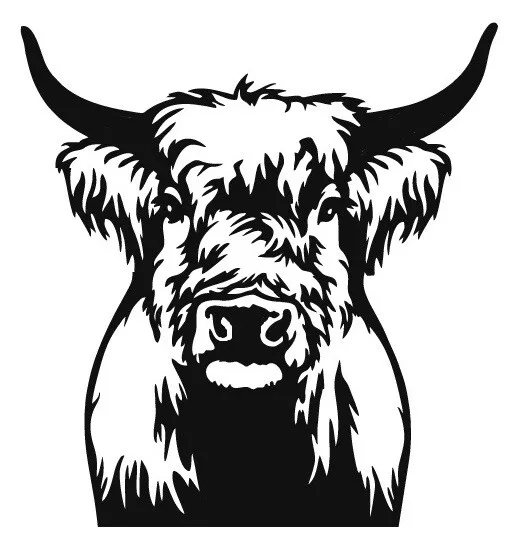 highland cow head decal vinyl wall art sticker graphic car van bonnet window fun