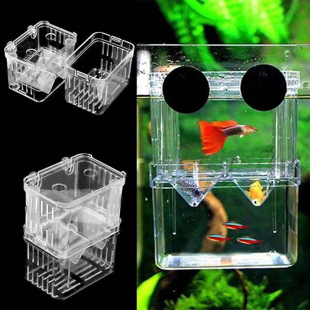 Fish Breeding Aquarium Box Tank Isolation Incubator Hatchery Breeder ca