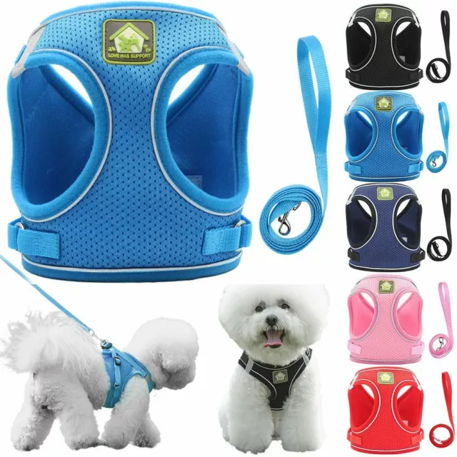 Pet Puppy Harness Breathable Mesh And Leash Set Vest Chest Strap Small Dog XS-XL