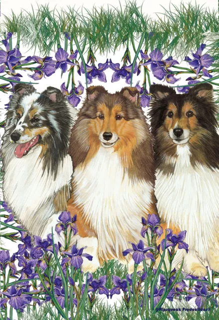 Pipsqueak Garden Flag - Shetland Sheepdog Sheltie 495241