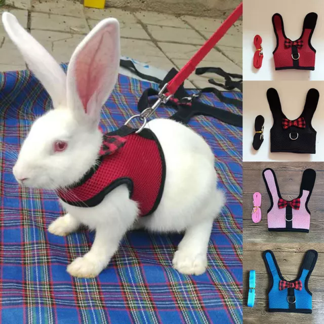 Harnais Souple Réglable Noir/Rouge Avec Gilet De Laisse Élastique Pour Lapin F