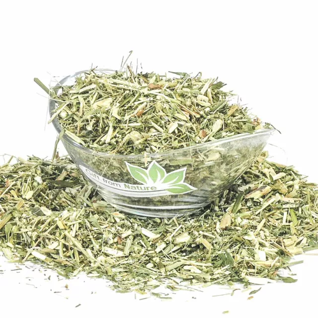 GOATS RUE Herb Dried ORGANIC Bulk Tea,Galega officinalis Herba