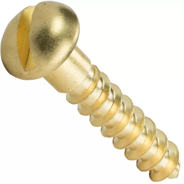 #10 Round Head Slotted Drive Wood Screws Solid Brass All Lengths In Listing