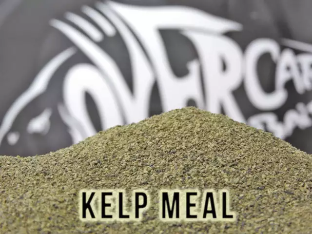 Kelp Meal OVER CARP BAITS Pesca de Carpas Harina Mix Self Hecho Boilies A0685