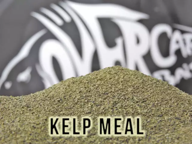 Kelp Meal Over Carp Baits Carpfishing Farina Mix Self Made Boilies A0685