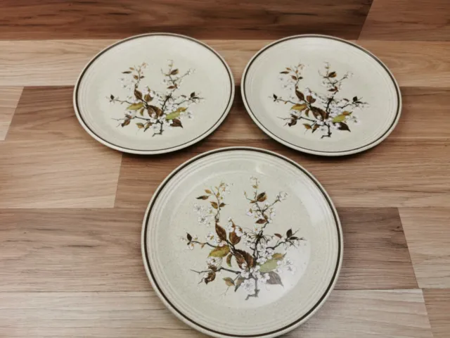 3 x Vintage Royal Doulton Wild Cherry 8.5" Salad  / Dessert Plates - Lambethware